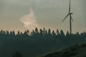 Windkraftanlage im Waldgebiet