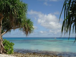 Palmen und Meer in Tuvalu